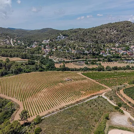 别墅 Mas D'en Giralt 1722, Exclusiva Masia Catalana En El Parc Natural Del Garraf, Ideal Familias, Grupos Y Celebraciones Intimas, Jardines Privados Y Barbacoa, A 10 Min De